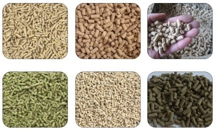 Máquina de alimentación de 200 kg para hacer pellets de pollo y peces excelente rendimiento