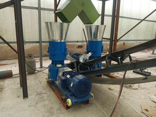 Maquinaria de primera clase de pellets de película plana comprimida 3-30kw máquina de pellets de alimentación